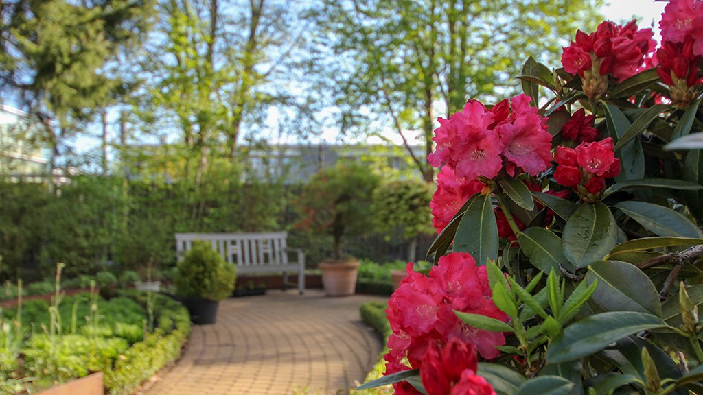 Flowers and garden paths at Ediths Garden